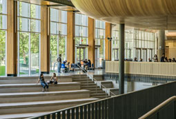 Studieren an der Universität