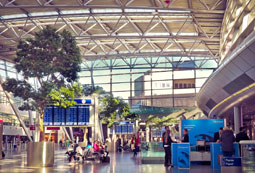 Bachelor International