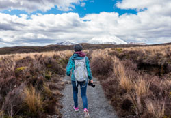 Work and Travel-Programme