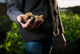 Farmstay für Studenten